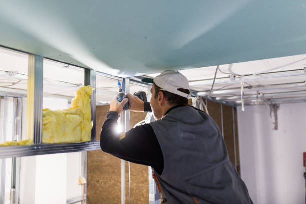 Best Geographic-Specific Insulation Services in Yoakum, TX