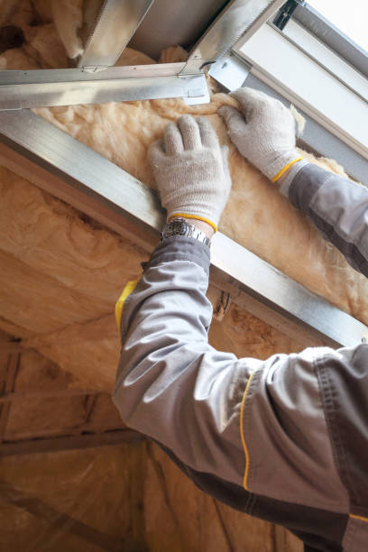 Best Cellulose Insulation in Yoakum, TX